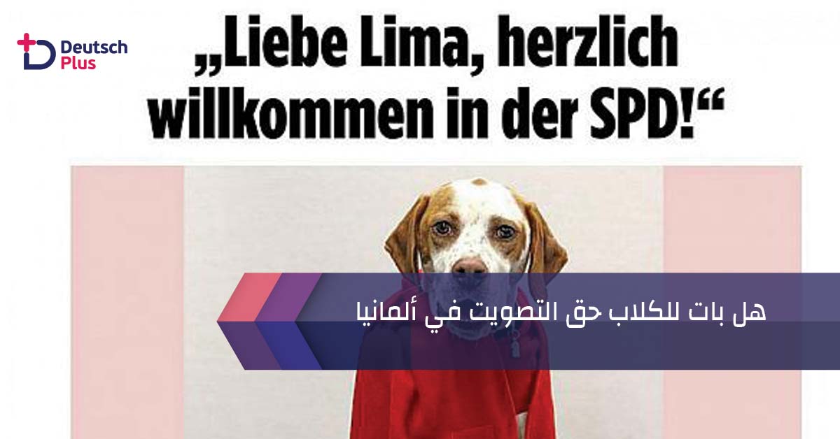 هل بات للكلاب حق التصويت في المانيا !!