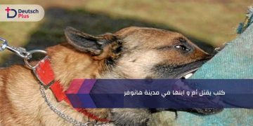 كلب يقتل أم و ابنها في مدينة هانوفر