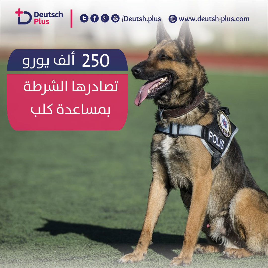 كلب يساعد الجمارك بمصادرة كوكايين بقيمة 250 ألف يورو