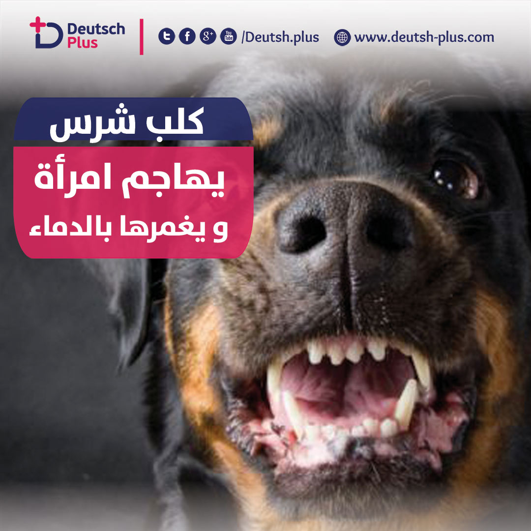 كلب يهاجم امرأة بشراسة في مدينة هاجن