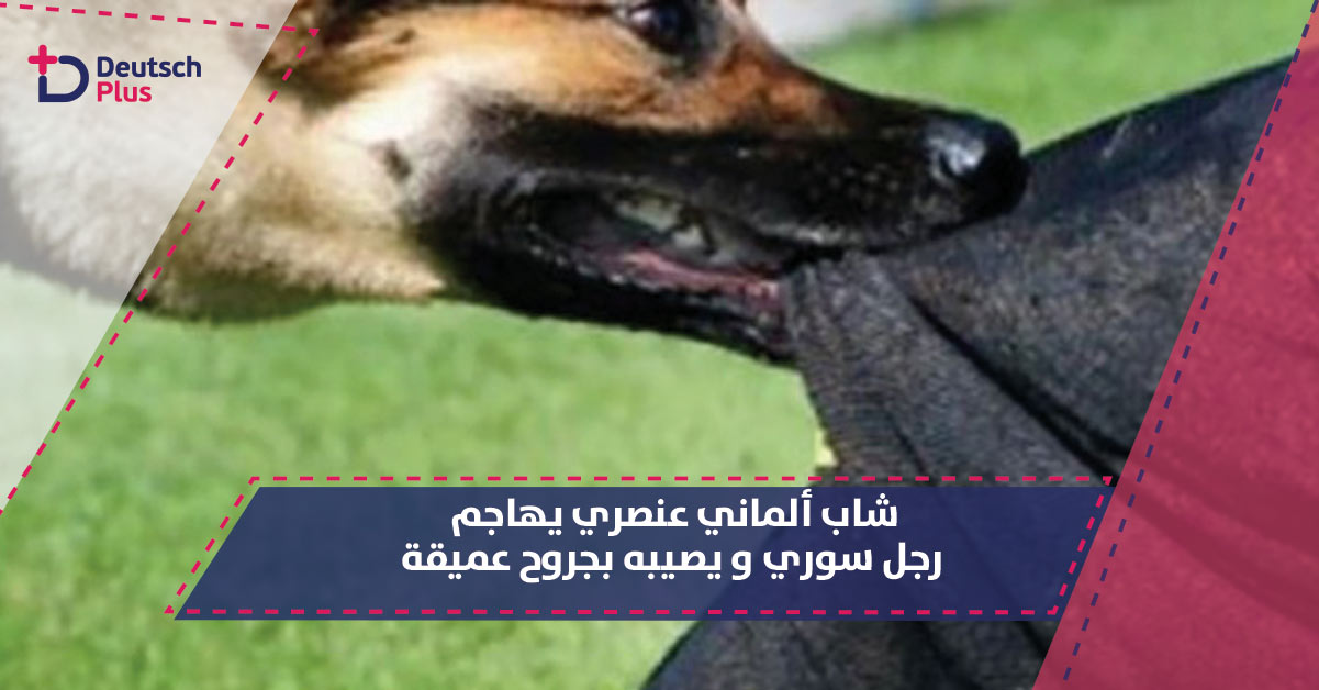 شاب ألماني عنصري أفلت كلبه على رجل سوري