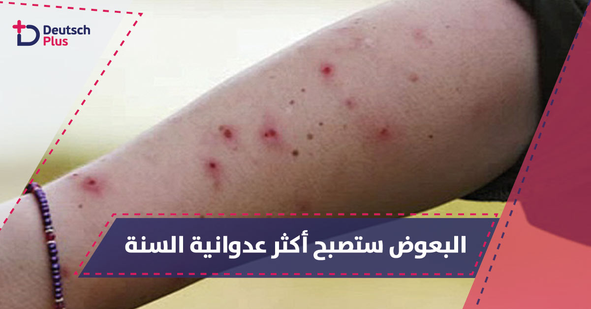 شركة التأمين الصحي تحذر