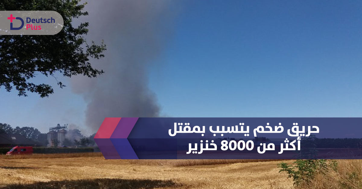 توارثها 5 أجيال