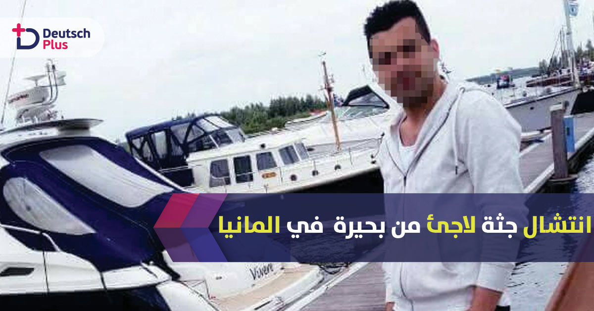 بحيرة كريبس زي