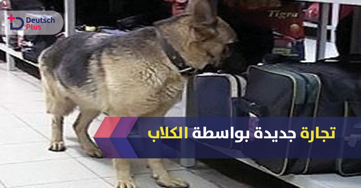 ألمانيا تستخدم كلاب للعثور على حشرة صغيرة بمطار فرانكفورت