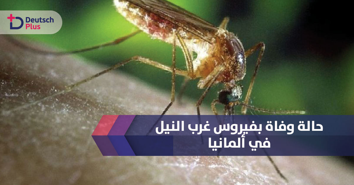 هل سمعت بفيروس غرب النيل ؟؟؟ اول اصابة في ألمانيا و السلطات تحذر