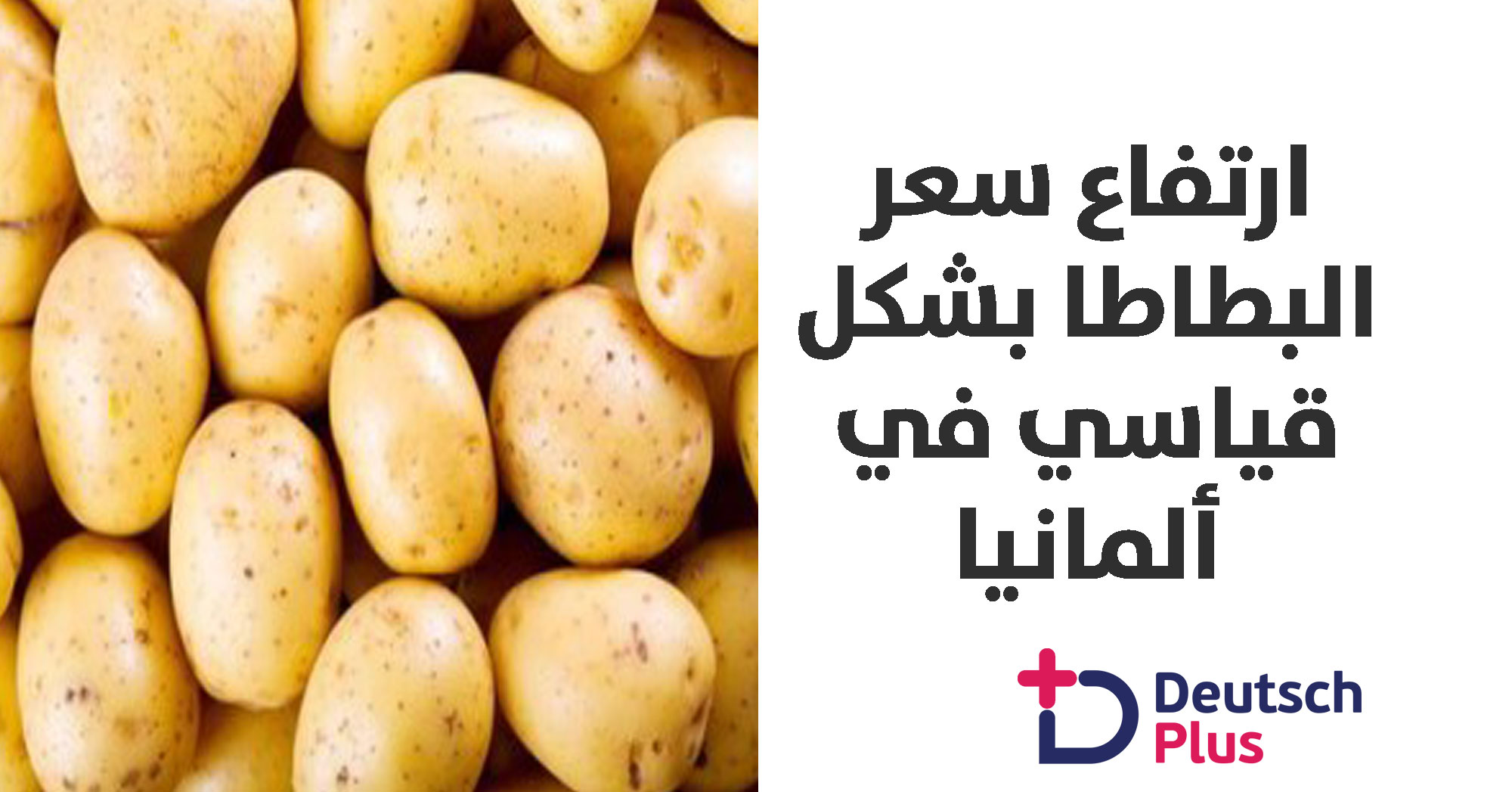 مستوى قياسي لسعر البطاطا في ألمانيا