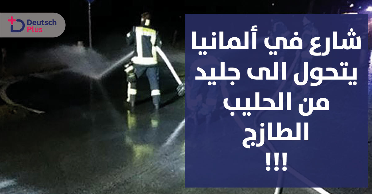 بعد أن ركن شاحنة الألبان بجانب الطريق