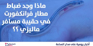 الطبقة-الزرقاء