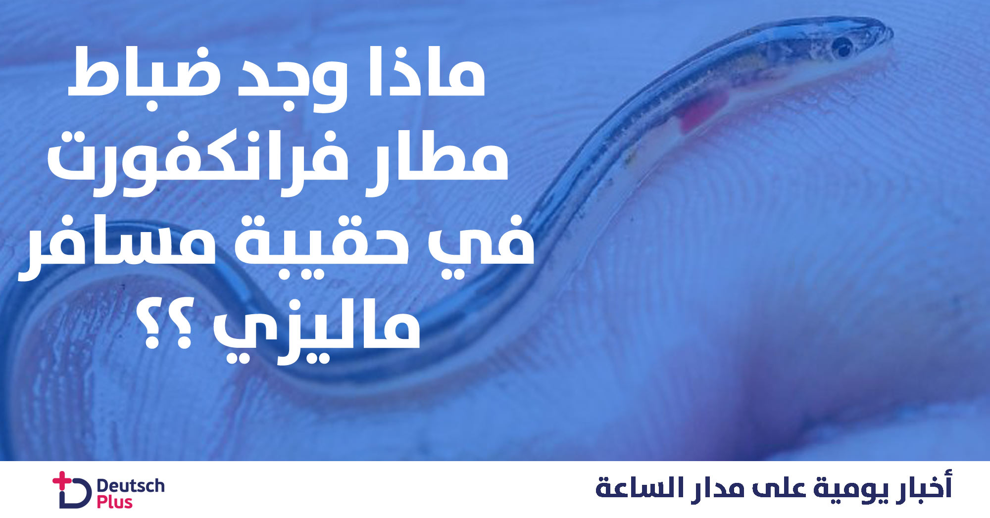 الطبقة-الزرقاء