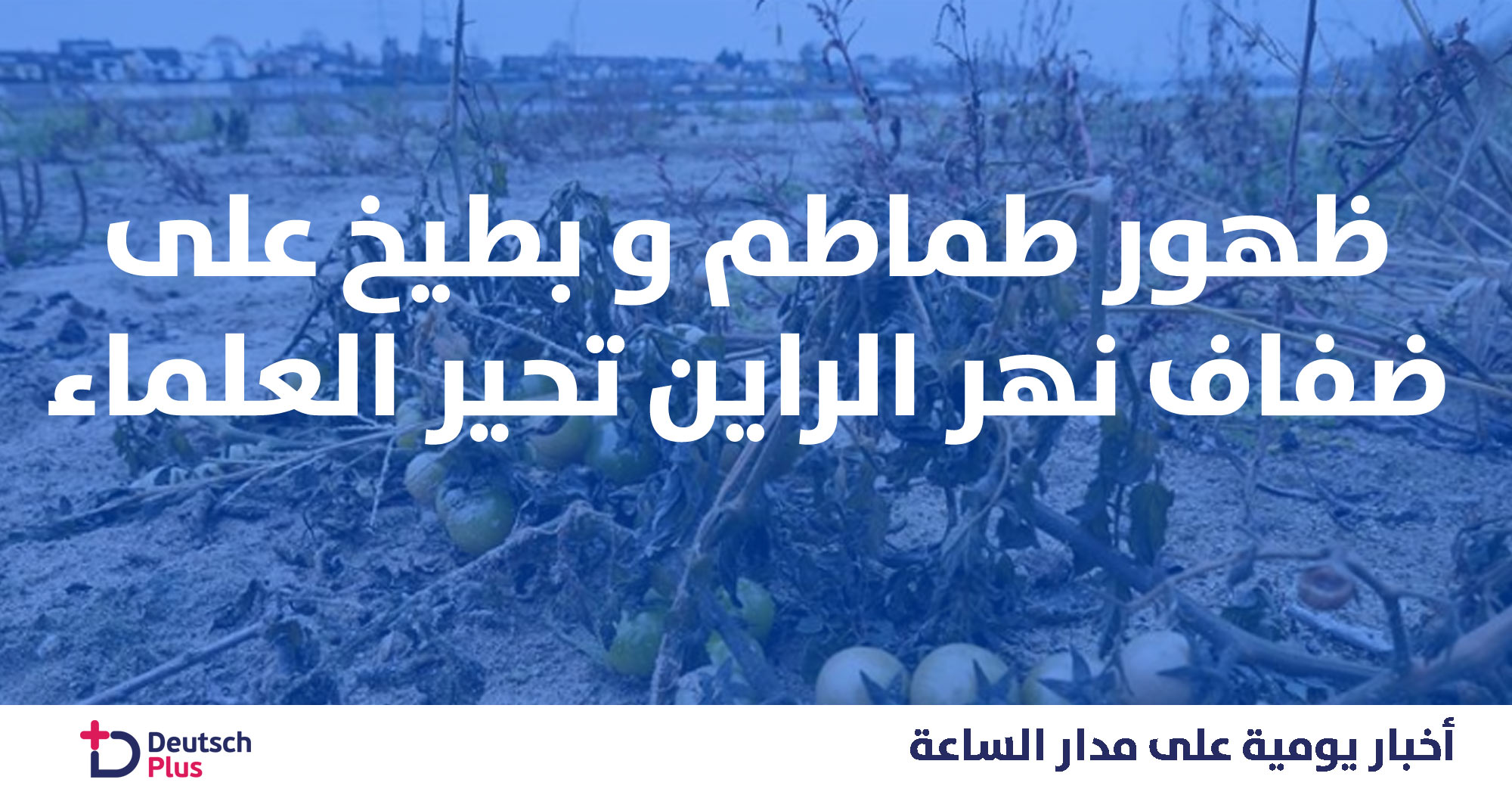 ظاهرة غريبة