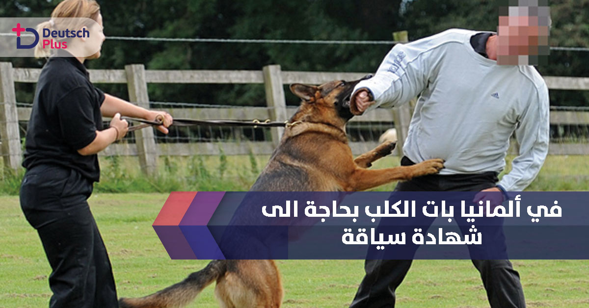 110 يورو تكلفة استخراج شهادة قيادة كلب لسيره بالمدينة بألمانيا