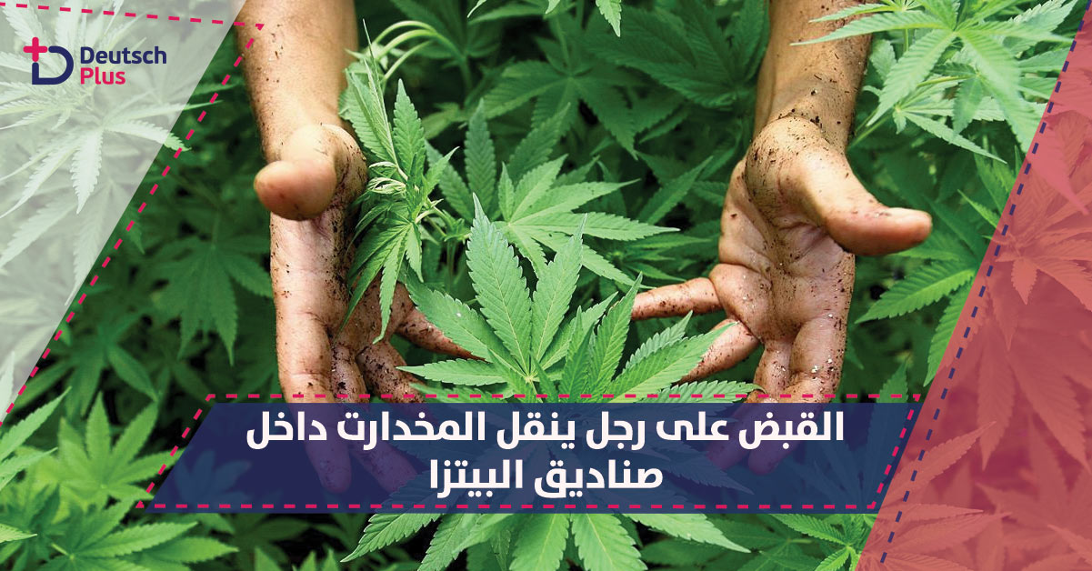 داخل صناديق البيتزا