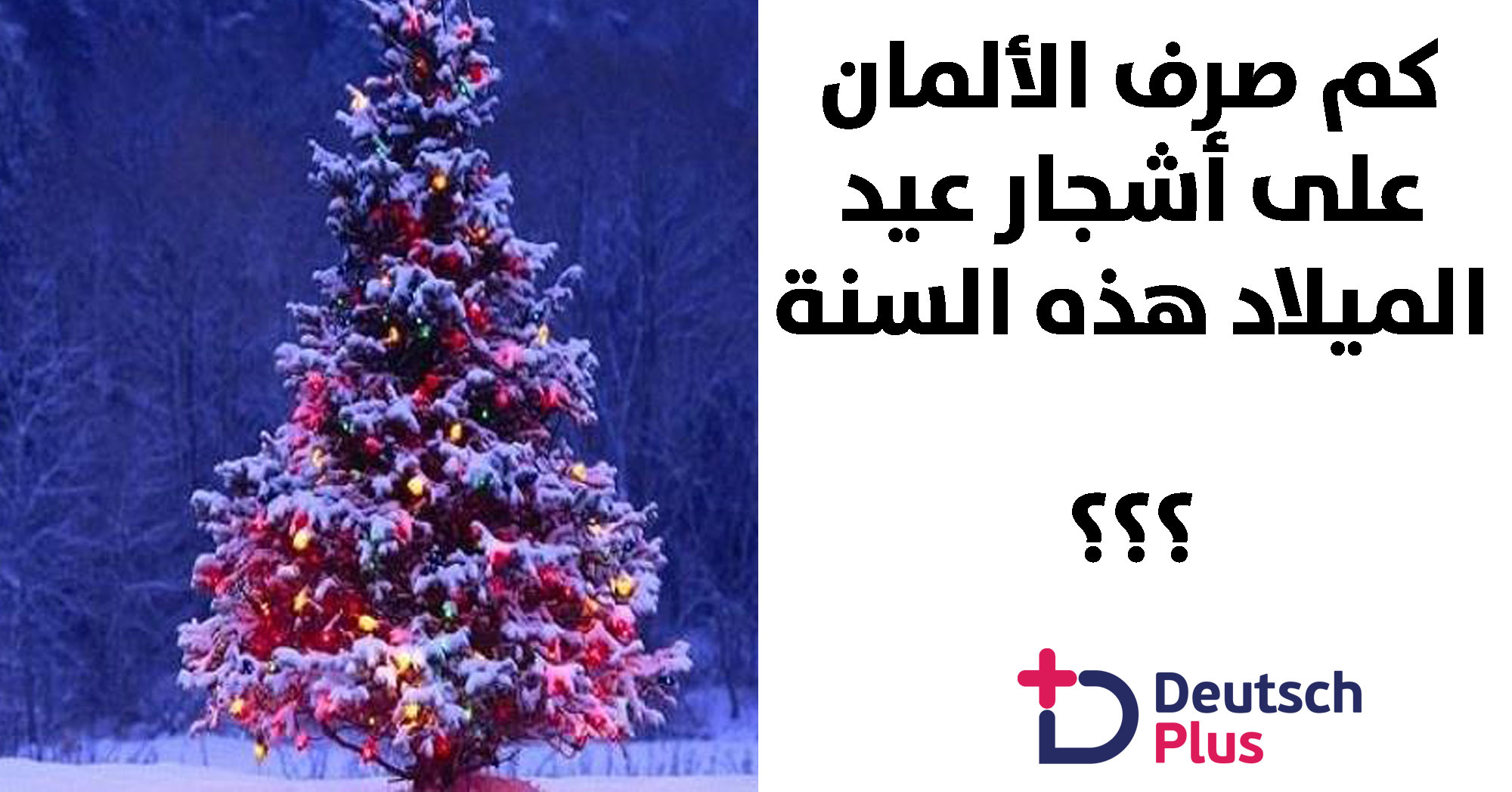 بيع 29.8 مليون شجرة فترة أعياد الميلاد بألمانيا