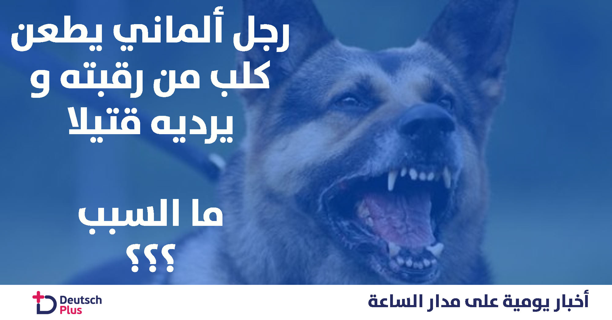 نقل كلب للمشفى لسبب غريب