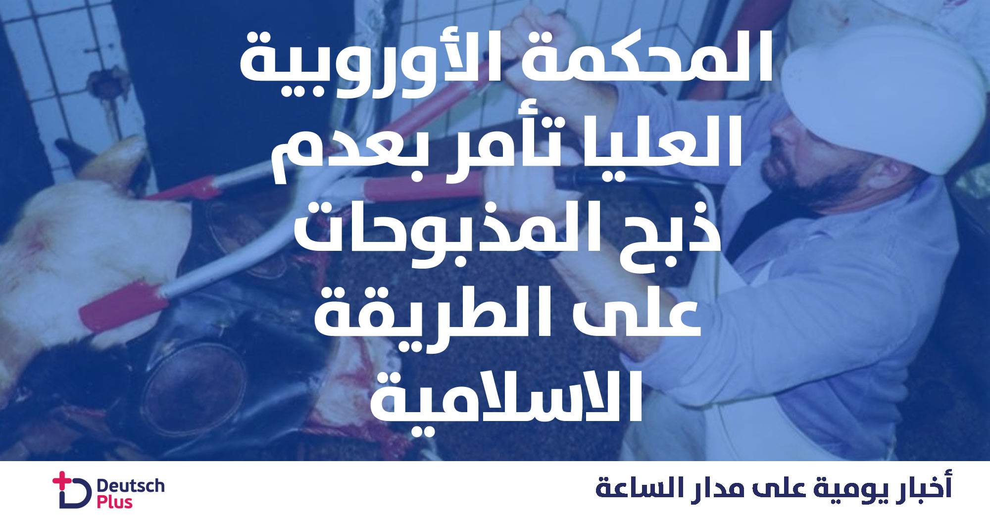 المحكمة الأوروبية العليا تأمر بصعق المذبوحات و عدم ذبحها على الطريقة الأسلامية 